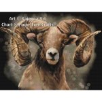 (image for) Mountain Sheep